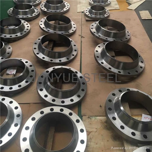 Stainless Steel Forged Flange