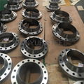 Stainless Steel Forged Flange 1