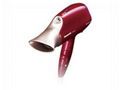 Tyrannosaurus Hair Drier