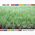  Artificial Turf and Synthetic Grass in China 2