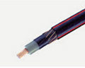 1/3 Neutral Copper Wire Concentric Cable