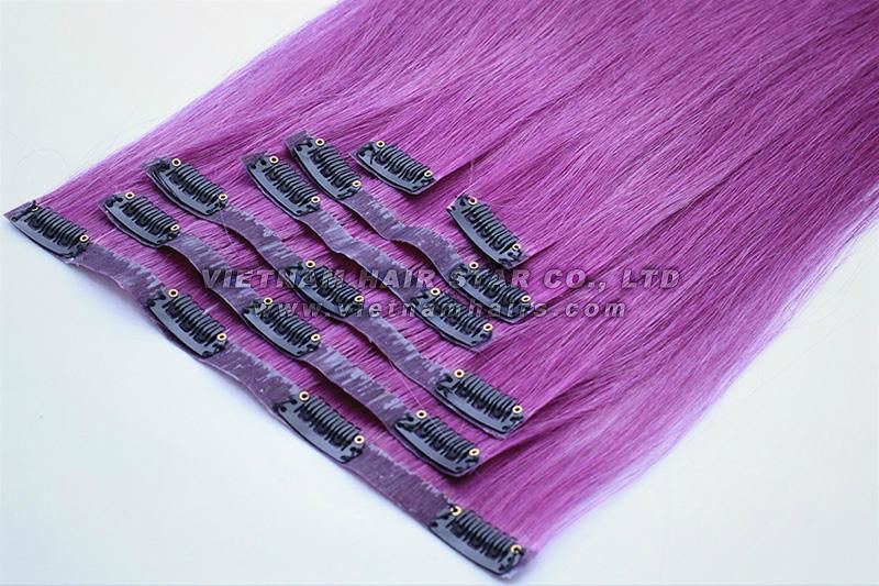 Single Weft Clip-in Hair Extensions