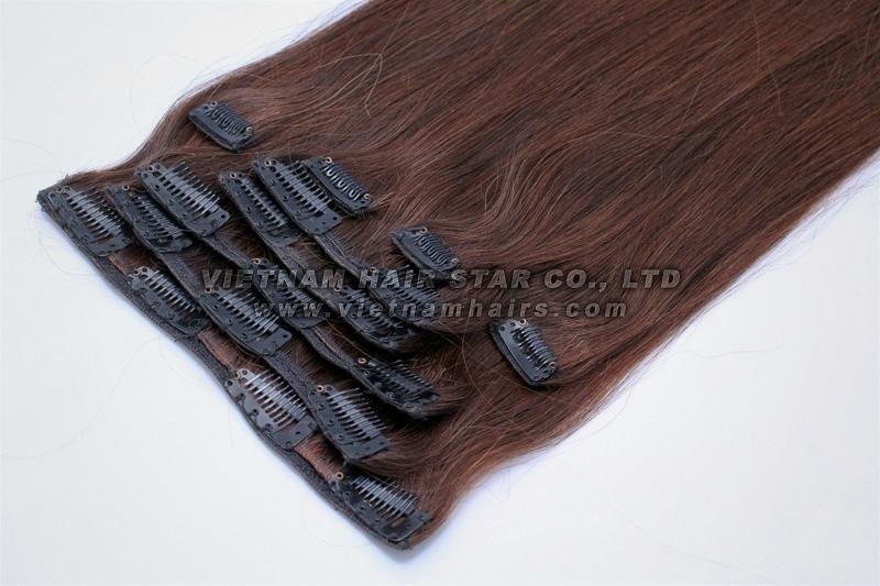 Single Weft Clip-in Hair Extensions 4
