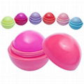 Brand OEM Moisture Colourful Lip Balm