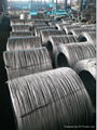 galvanized iron wire 3