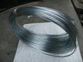 galvanized iron wire 5