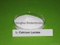 Sodium Lactate Powder