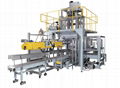 Powder secondary packaging machine