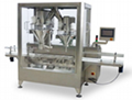 Double Head Weighing Linear Filling Machine