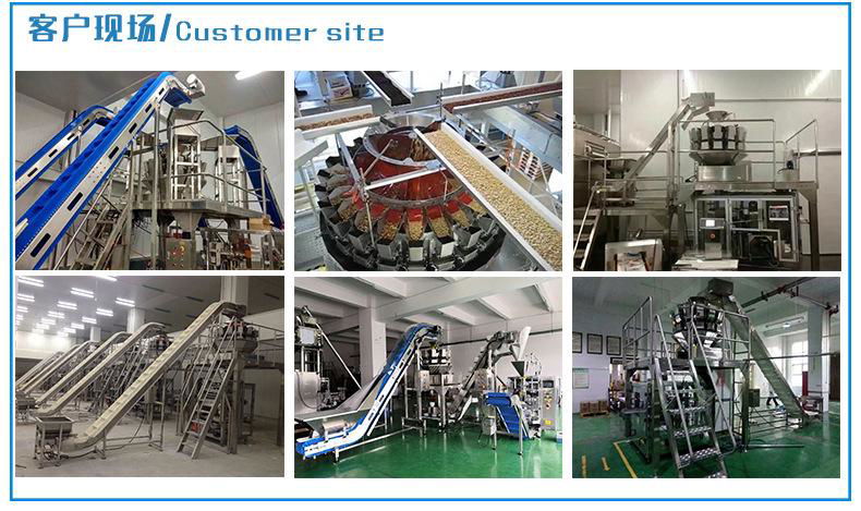 Powder weighing and packaging machine 4