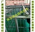 河北弘昌出售母猪保胎复合限位栏尺寸 2
