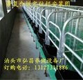 河北弘昌出售母猪保胎复合限位栏尺寸 3