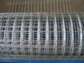 Iron malla para jaulas galvanized welded wire mesh buy 4