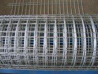 Good Quality Galvaized/PVC Coated Welded Wire Mesh (Factory)