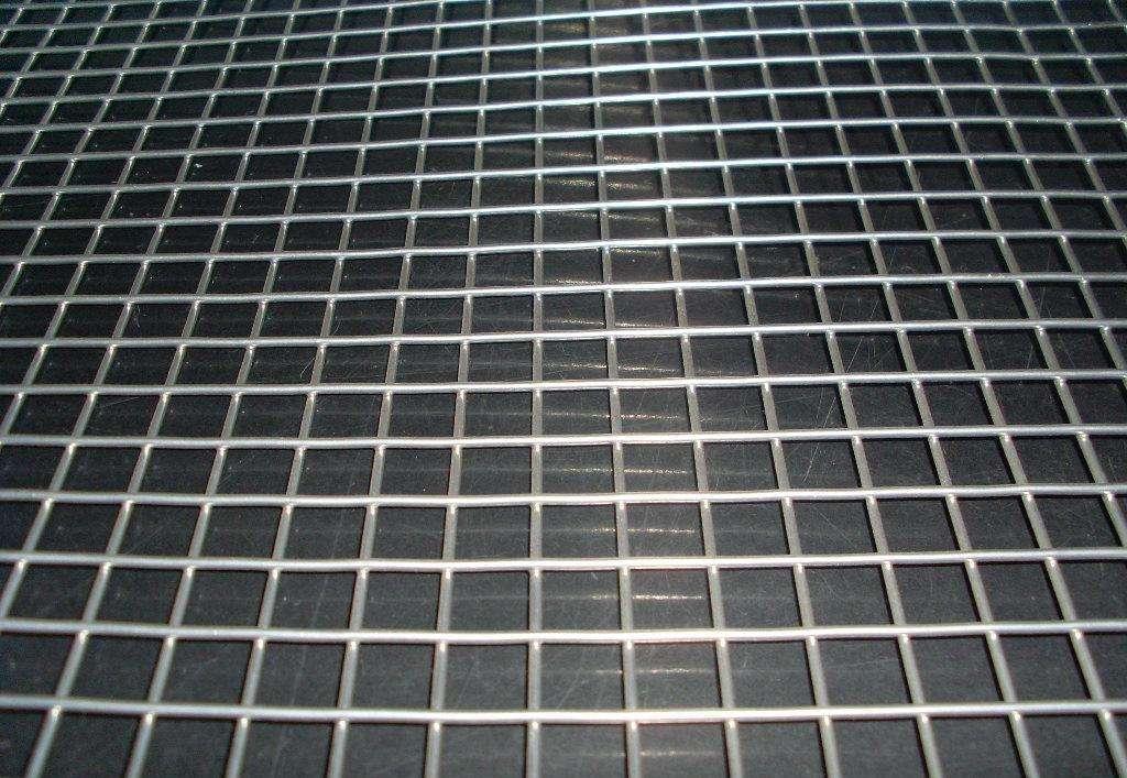 Good Quality Galvaized/PVC Coated Welded Wire Mesh (Factory) 5