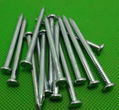 Carbon steel q235 galvanized concrete common nail