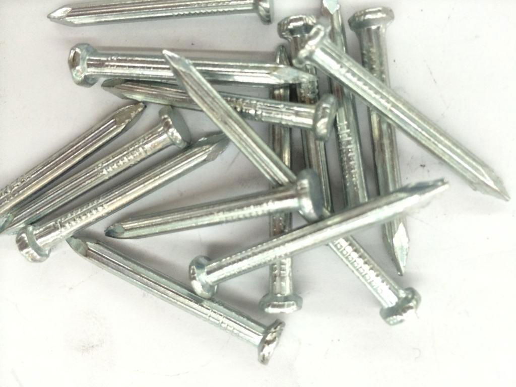 Cheap Galvanized hardened steel concrete steel nail sizes