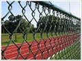  lower price useful PVC coated galvanized chain link fence 5