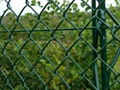 gauge chain link fence 1