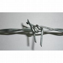 Stainless steel barbed wire with best price