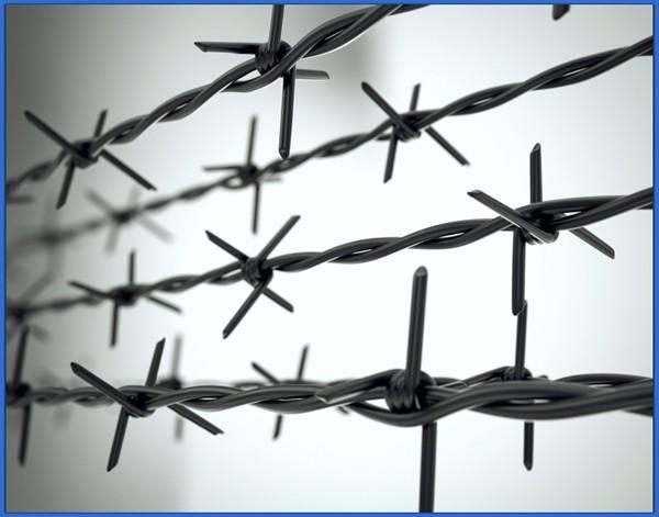 Stainless steel barbed wire with best price 2