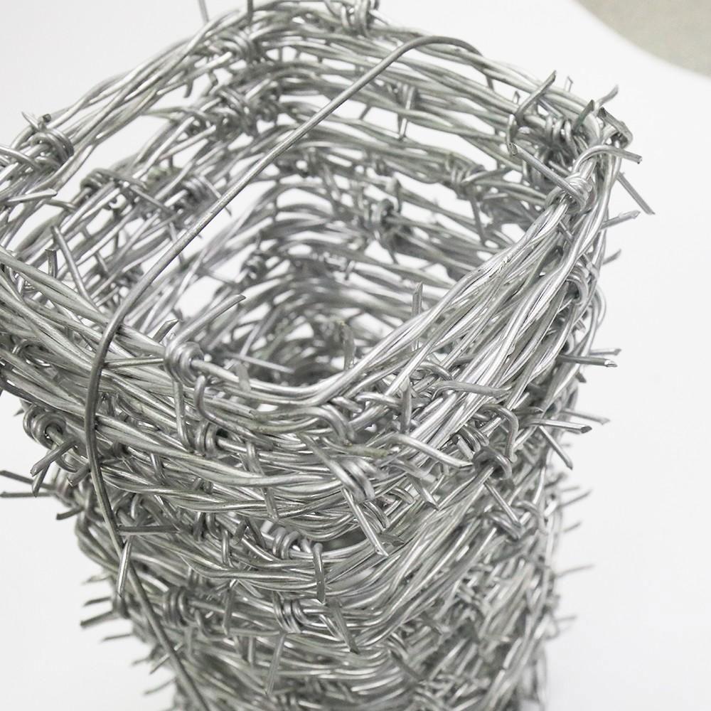 Stainless steel barbed wire with best price 5