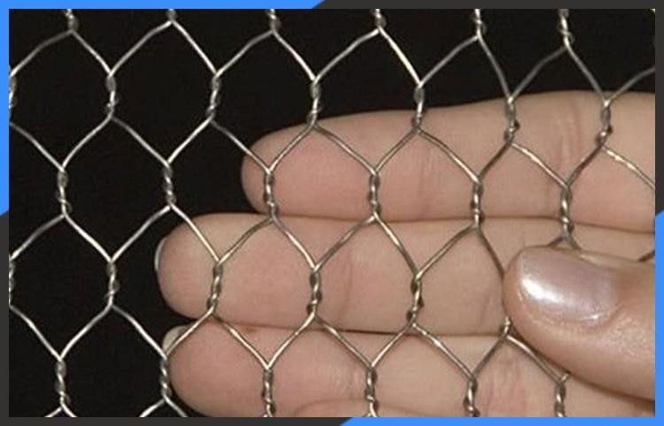 small hole galvanized chicken wire mesh 3