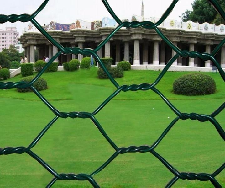 small hole galvanized chicken wire mesh 5