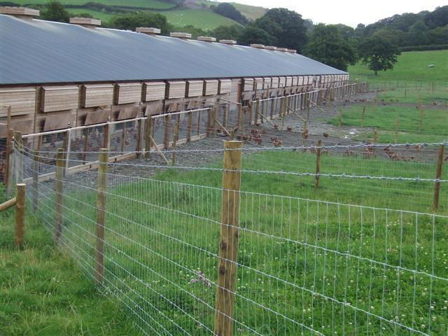 Wholesale Cheap Hinge Joint Field Fence Manufacturer