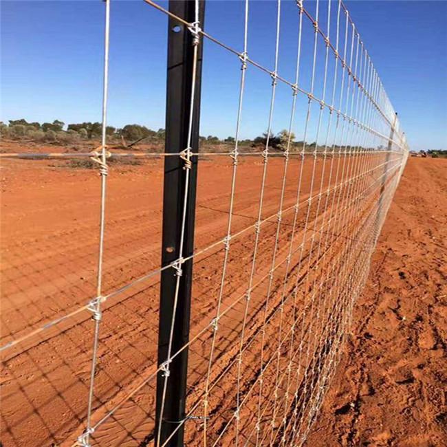 Wholesale Cheap Hinge Joint Field Fence Manufacturer 4