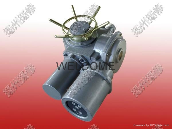 扬修电力开关电动执行器DZW20-18-A00-WK2可分体控制