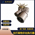 扬修电力阀门电动装置DZW10-18-A00-WK2