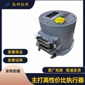扬修电力电动执行器控制器更换F
