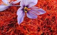 moroccan saffron