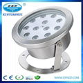 CE RoHS Certification and Stainless Steel Lamp Body Fountain led light 2