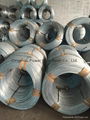 Cold galvanized wire