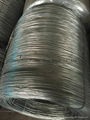 Hot dip galvanized wire