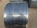 Hot dipped galvanized wire