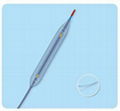  PTCA balloon catheter 3