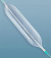 PTCA balloon catheter 1