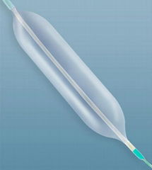 PTCA balloon catheter