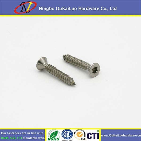China Custom Stainless steel 304 T15 torx flat head self tapping screw