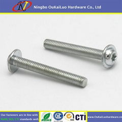 Zinc plated torx pan washer head machine screw