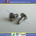 Stainless Steel DIN 967 A2 Philips Modified Truss Head Machine Screw Suppliers 1