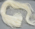 Well Brushed Sisal Fiber UG Grade 1 from Kenya 3