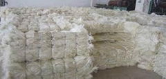 TOP QUALITY SISAL FIBRE FROM KENYA. BEST PRICE