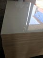 HPL plywood