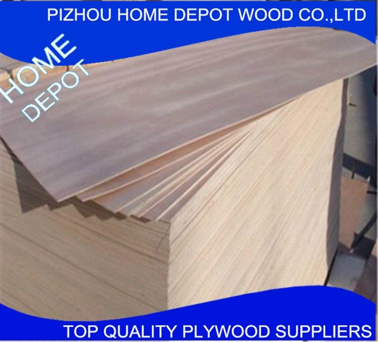 Best Quality Building Material of Film Plywood From Xuzhou China