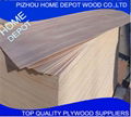 Best Quality Building Material of Film Plywood From Xuzhou China 1