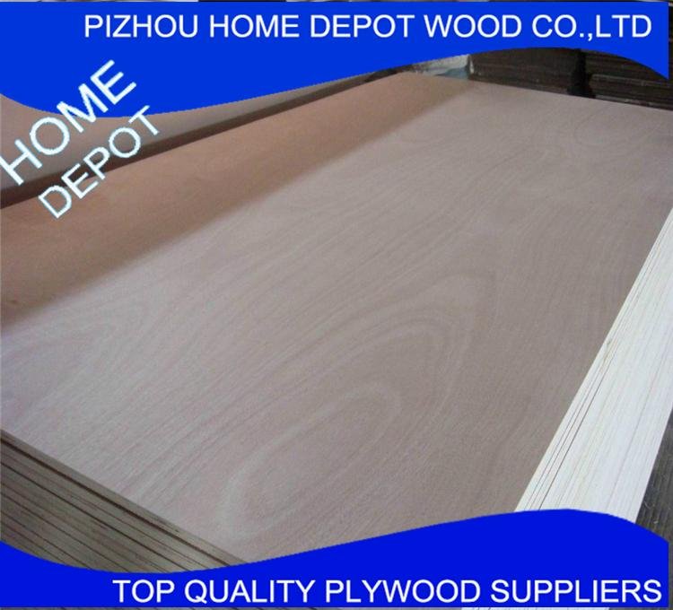 Best Quality Building Material of Film Plywood From Xuzhou China 3